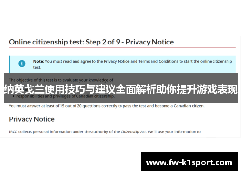 纳英戈兰使用技巧与建议全面解析助你提升游戏表现