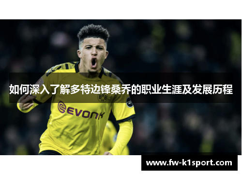如何深入了解多特边锋桑乔的职业生涯及发展历程